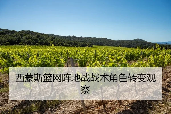 西蒙斯篮网阵地战战术角色转变观察